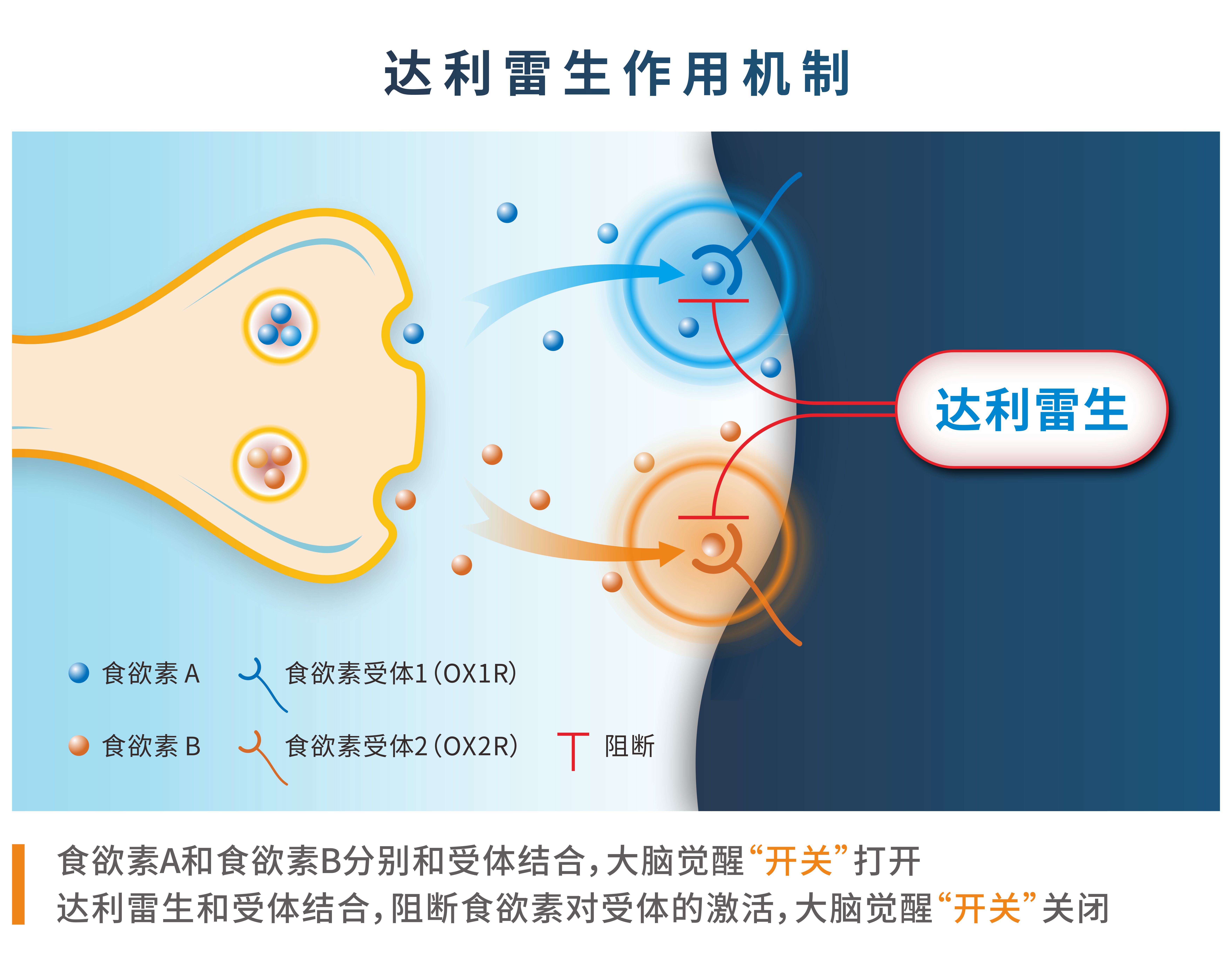 机制图定稿.jpg 机制图定稿.jpg